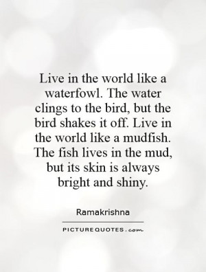Live in the world like a waterfowl. The water clings to the bird, but ...