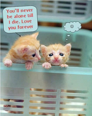 You'll never be alone until I die. Love you forever:) Cute Quote