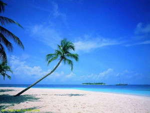 Download Beautiful Beach Scene Wallpaper