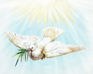Novena to the Holy Spirit for the Seven Gifts