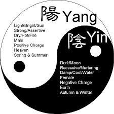 Yin Yang Quotes