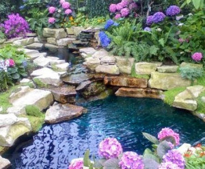 Garden pond surrounded by hydrangeas via Carol's Country Sunshine on ...
