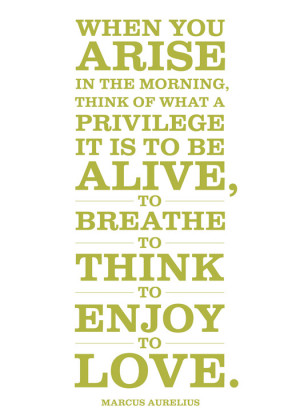 Wise Words Wednesday - Happiness