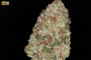 purple-trainwreck-medical-cannabis-purple-trainwreck-weed-thcfinder ...