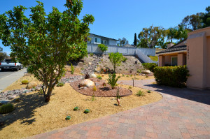 Low Maintenance Landscape...