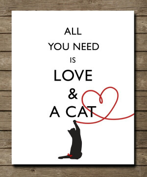 All you need is love & a cat