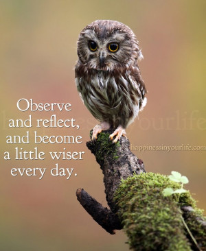 Observe and reflect, and become a little wiser every day. ~Doe ...