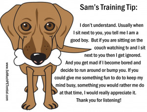 Dog Training Tip From Sam