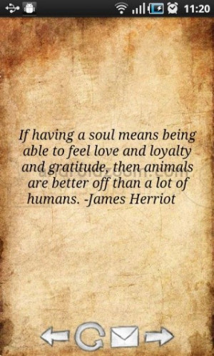 view original image )