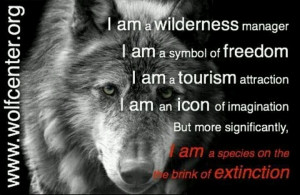 Help save the wolves
