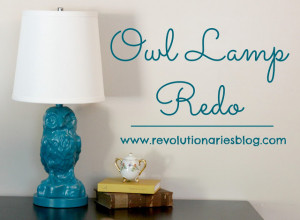 What a super fun Owl Lamp Redo from Revolutionaries !