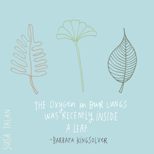 Barbara Kingsolver Quotes Thank you barbara kingsolver.