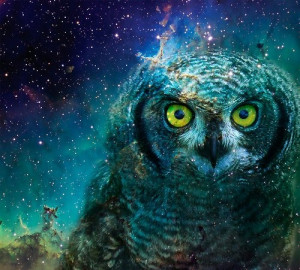 blue, galaxy, owl, space, stars, turquoise