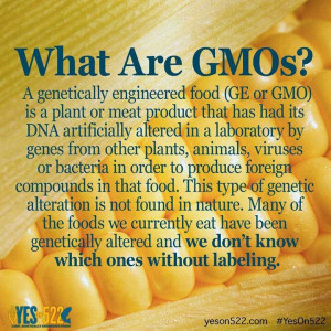 What is a GMO?