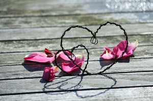 ... 4198299.2.flat%2C550x550%2C075%2Cf.heart-of-wire-in-a-bed-of-roses.jpg