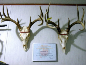 ... is all about speed. Hot, nasty, bad-ass speed. ~ Eleanor Roosevelt