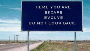 random,quotes,escape,evolve,quote,road ...