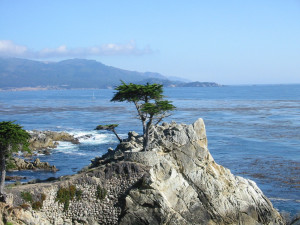 Pebble Beach