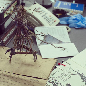 Must-See TRUE DETECTIVE Facts, Photos, Quotes, Art, Parodies and Links ...