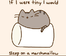 cat cute love lovely marshmallow pusheen quotes