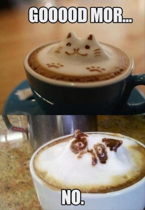 grumpy cat morning cup of coffee
