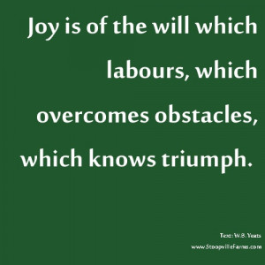 ... is the will which labours,…which knows triumph.” #Yeats #quotes