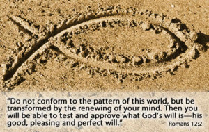 ... quotes into a daily bible verse prosperity of biblical prosperity