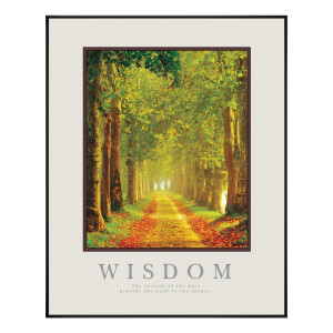 Wisdom Path Motivational Poster (710070)