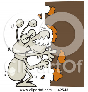 Hungry Termite Munching Wood Dennis Holmes Designs