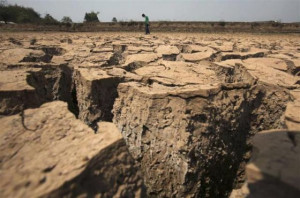 description funny drought pictures funny quotes on flattery funny ...