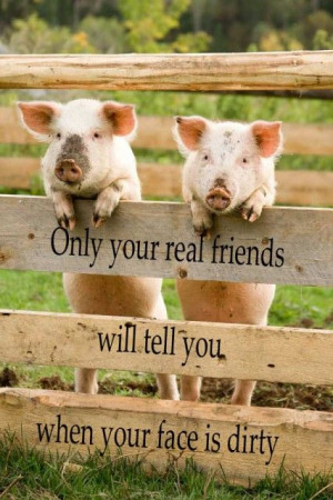 ... Friends Love, Best Friends, Farms, Pigs, Real Friends, True Stories