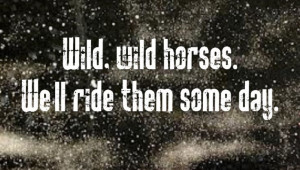 Rolling Stones - Wild Horses - song lyrics, song quotes, songs, music ...