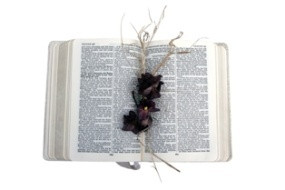 sympathy for the devil calvary chapel academy sympathy for the devil ...