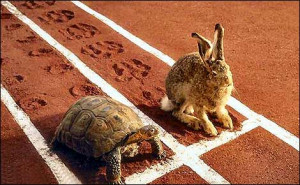 the hare laughed at the tortoise s feet but the tortoise declared i ...
