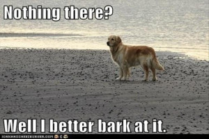 funny dog barking at nothing