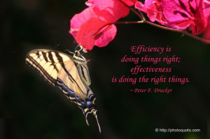 ... is doing things right; effectiveness is doing the right things