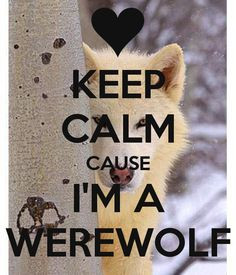keep calm cause i m a werewolf more fuck normal keep calm angel baby ...
