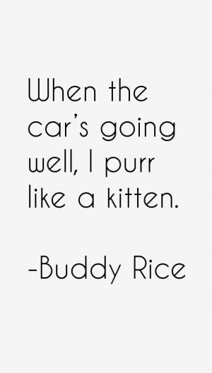 Buddy Rice Quotes amp Sayings