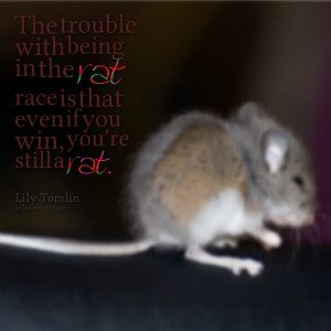 Quotes Picture: the trouble with being in the rat race is that even if ...