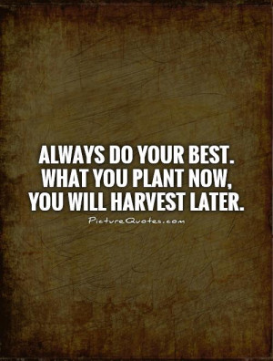 Motivational Quotes Plant Quotes Harvest Quotes Og Mandino Quotes