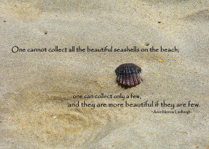 Pretty Seashell Quote Photograph