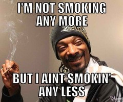 Dani Follow almost 3 years ago