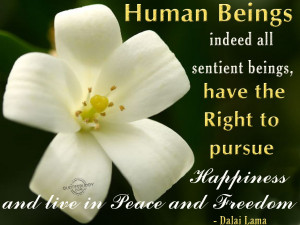 Human Rights Quotes Graphics, Pictures