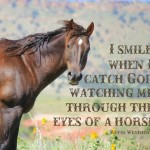 Showing Gallery For Horse Quotes About Trust
