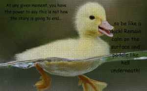 Pin it Like Visit Site