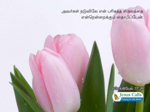 Labels: Tamil Bible Quotes , Tamil Bible Verse Wallpapers