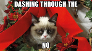 Grumpy Cat Meme Pictures humor funny cats christmas wallpaper ...