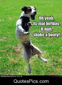 celebration dancing dog happy birthday my birthday post navigation
