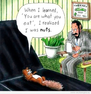 Funny Picture - Squirell at psychologist
