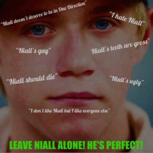 Stop Hating Niall